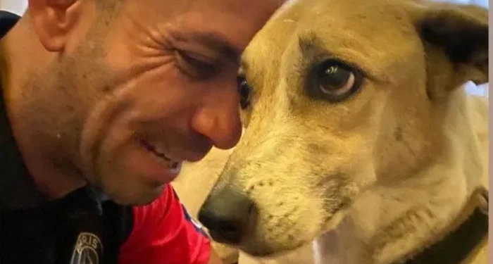 Pandora: Cadela perdida em voo da Gol é reencontrada pelo dono