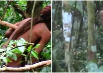 "Índio do Buraco": indígena que vivia isolado na Amazônia teve morte confirmada