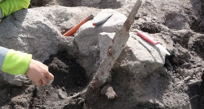 Espadas da Era Vinking: material encontrado por arqueólogos na Suécia
