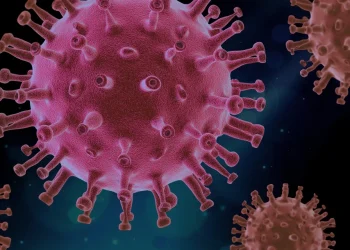 Vírus covid-19: estudo aponta criação da Sars-Cov-2 em laboratório