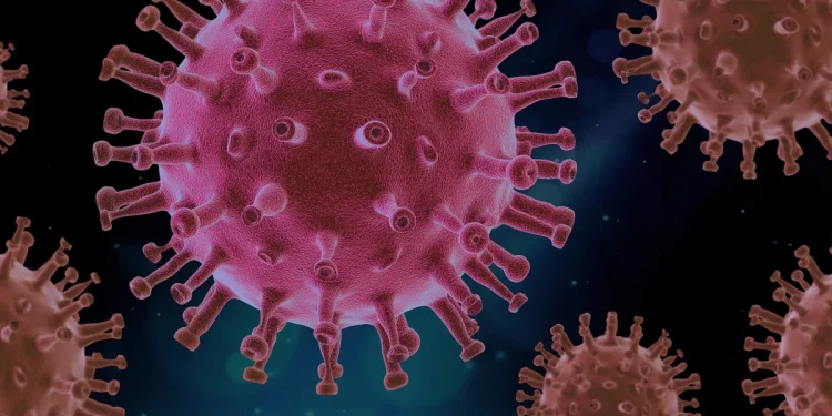 Vírus covid-19: estudo aponta criação da Sars-Cov-2 em laboratório