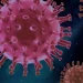 Vírus covid-19: estudo aponta criação da Sars-Cov-2 em laboratório