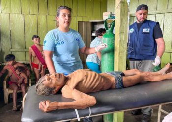 Mortes na tribo Yanomami: o que o MPF diz que a atuação do governo Bolsonaro.