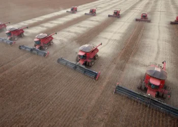 Produção de soja na Argentina: entenda o que está reduzindo a safra na Argentina