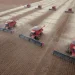 Produção de soja na Argentina: entenda o que está reduzindo a safra na Argentina
