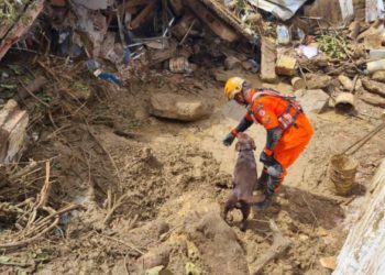 Tragédia em São Gonçalo: Corpo de Bombeiros resgata corpos.