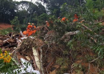 Tragédia em Petrópolis: Cidade ainda convive com um ano depois de enfrentar a pior catástrofe natural eu sua história.