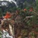 Tragédia em Petrópolis: Cidade ainda convive com um ano depois de enfrentar a pior catástrofe natural eu sua história.