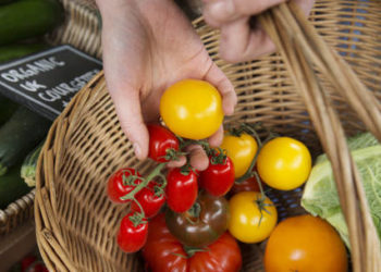Escassez de verduras no Reino Unido: Supermercados começam a promover racionamento.