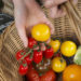 Escassez de verduras no Reino Unido: Supermercados começam a promover racionamento.