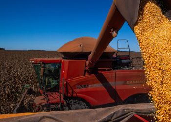 PIB: crescimento no primeiro trimestre de 2023.