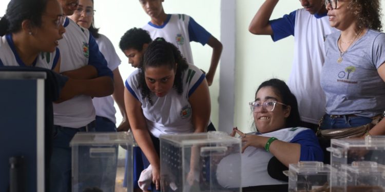 Serpentes, aranhas e escorpiões do IVB em Cachoeiras de Macacu (RJ)