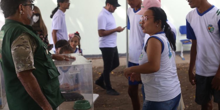 Serpentes, aranhas e escorpiões do IVB em Cachoeiras de Macacu (RJ)