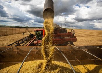 Agronegócio no Brasil: empregos gerados no primeiro trimestre de 2023.