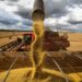 Agronegócio no Brasil: empregos gerados no primeiro trimestre de 2023.