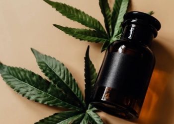Cannabis na rede pública de saúde: a cidade na Região dos Lagos, no Estado do Rio, que distribui o medicamento