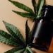 Cannabis na rede pública de saúde: a cidade na Região dos Lagos, no Estado do Rio, que distribui o medicamento