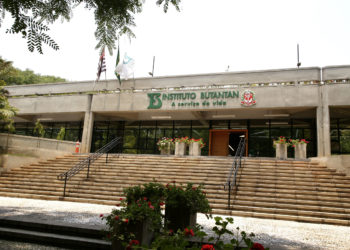 Mal de Alzheimer: pesquisa do Instituto Butantan com proteína extraída do peixe merluza.