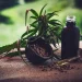Remédio de Cannabis: a farmácia de manipulação de Ribeirão Preto (SP) autorizada a fabricar.