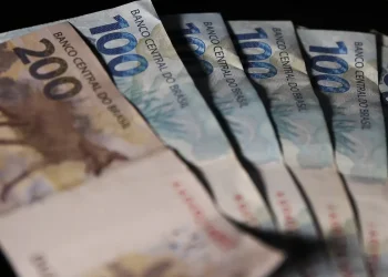 Salário mínimo: o piso de 2024 e o impacto na economia brasileira.