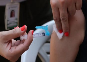 Qdenga: vacina contra a dengue que será incorporada ao SUS.