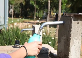 Beba muita água: nutricionista alerta para importância do consumo desta bebida preciosa, principalmente nos dias de calor e no carnaval.