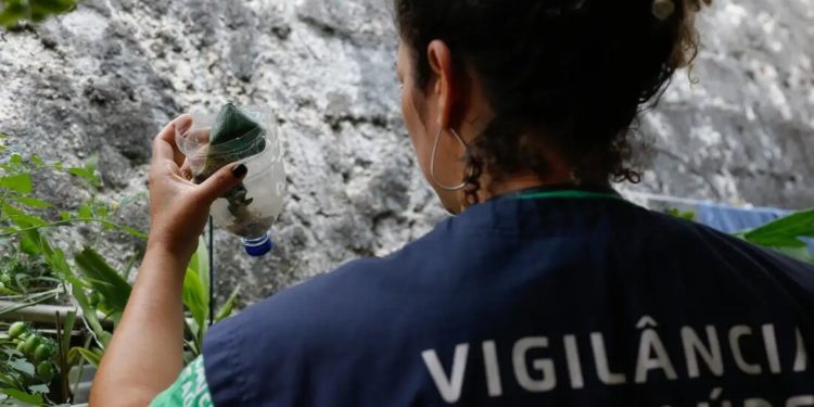 Combate à dengue no Estado do Rio: as recomendações do MPRJ para 18 cidades.
