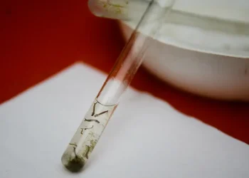 Dengue: mudanças climáticas vai fazer da doença um problema permanente no Estado do Rio de Janeiro, diz estudo.