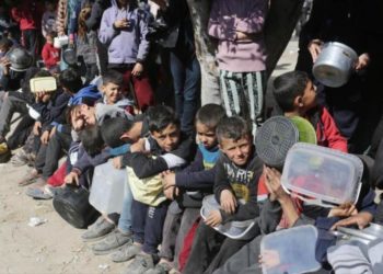 Massacre em Gaza: Forças de Israel mata 150 pessoas em fila para receber alimentos.