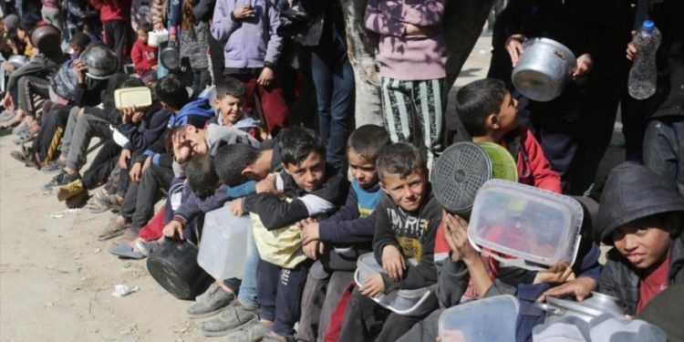 Massacre em Gaza: Forças de Israel mata 150 pessoas em fila para receber alimentos.