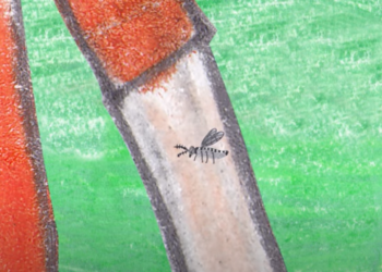 Dengue: como engajar alunos em sala de aula para combater o mosquito e se prevenir.