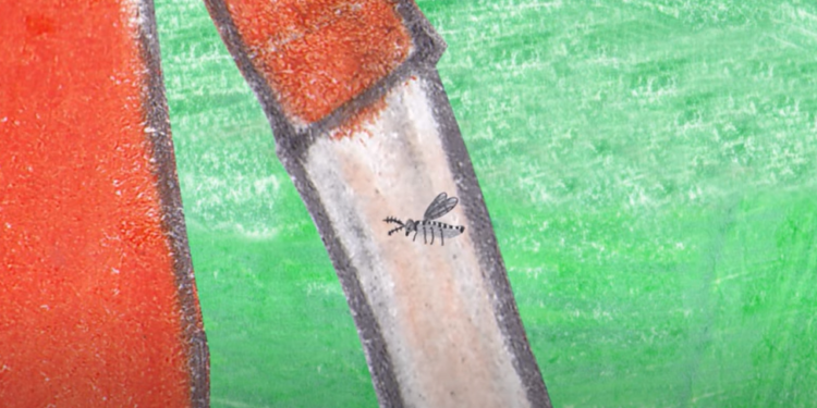 Dengue: como engajar alunos em sala de aula para combater o mosquito e se prevenir.