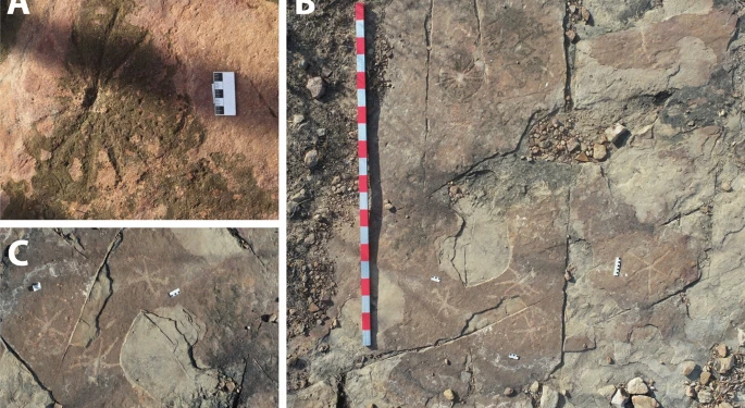 Arqueologia: pesquisadores encontraram desenhos rupestres de 9 mil anos no Rio Grande do Norte