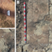 Arqueologia: pesquisadores encontraram desenhos rupestres de 9 mil anos no Rio Grande do Norte
