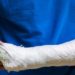 Experimentos realizados em animais mostraram que o novo medicamento ajudou a restaurar a estrutura original dos ossos danificados, além de formar novos vasos sanguíneos.