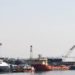 Porto Maravilha, no Rio de Janeiro, vai ganhar parque público