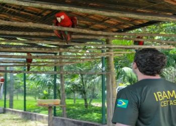 Servidores ambientais federais aprovam greve em 17 estados e no DF