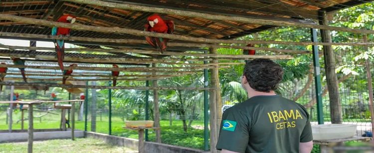 Servidores ambientais federais aprovam greve em 17 estados e no DF