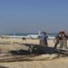Filhote de baleia jubarte é achado morto em praia do Rio de Janeiro