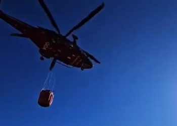 Números de incêndios florestais no estado do Rio aumentam mais de 83% em 2024
