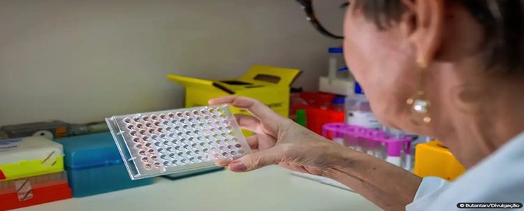 Pesquisadoras podem se inscrever no programa Mulheres na Ciência