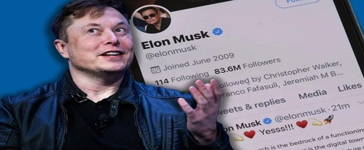 Elon Musk encerra operação do X/Twitter no Brasil e demite funcionários