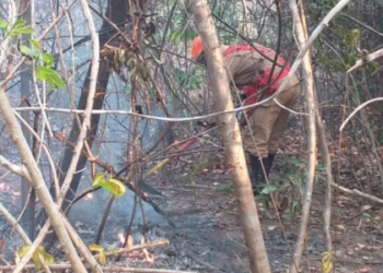 Incêndio destrói 10 mil hectares na Chapada dos Veadeiros