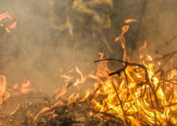 Polícia identifica 34 suspeitos de causas de incêndio florestal no Rio de Janeiro