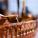 Bebida alcoólica: os gastos e mortes no Brasil.