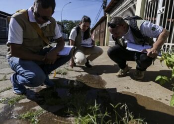 Dengue na cidade do Rio de Janeiro: Mais de 110 mil casos em 2024.