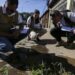 Dengue na cidade do Rio de Janeiro: Mais de 110 mil casos em 2024.