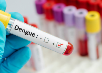 O combate à dengue pode ter um aliado importante: a vacina em dose única, a primeira no mundo, que está sendo produzida pelo Instituto Butantan, em São Paulo. Para o imunizante chegar aos braços da população, é preciso antes o registro da Anvisa, a Agência Nacional de Vigilância Sanitária.