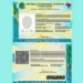 Mais de 17 milhões de brasileiros já possuem a nova Carteira de Identidade Nacional (CIN). O balanço foi divulgado nesta segunda-feira (16) pelo Ministério da Gestão e da Inovação em Serviços Públicos.