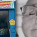 A morte do ganhador de 201 milhões da Mega-Sena, 24 dias após a retirada do prêmio